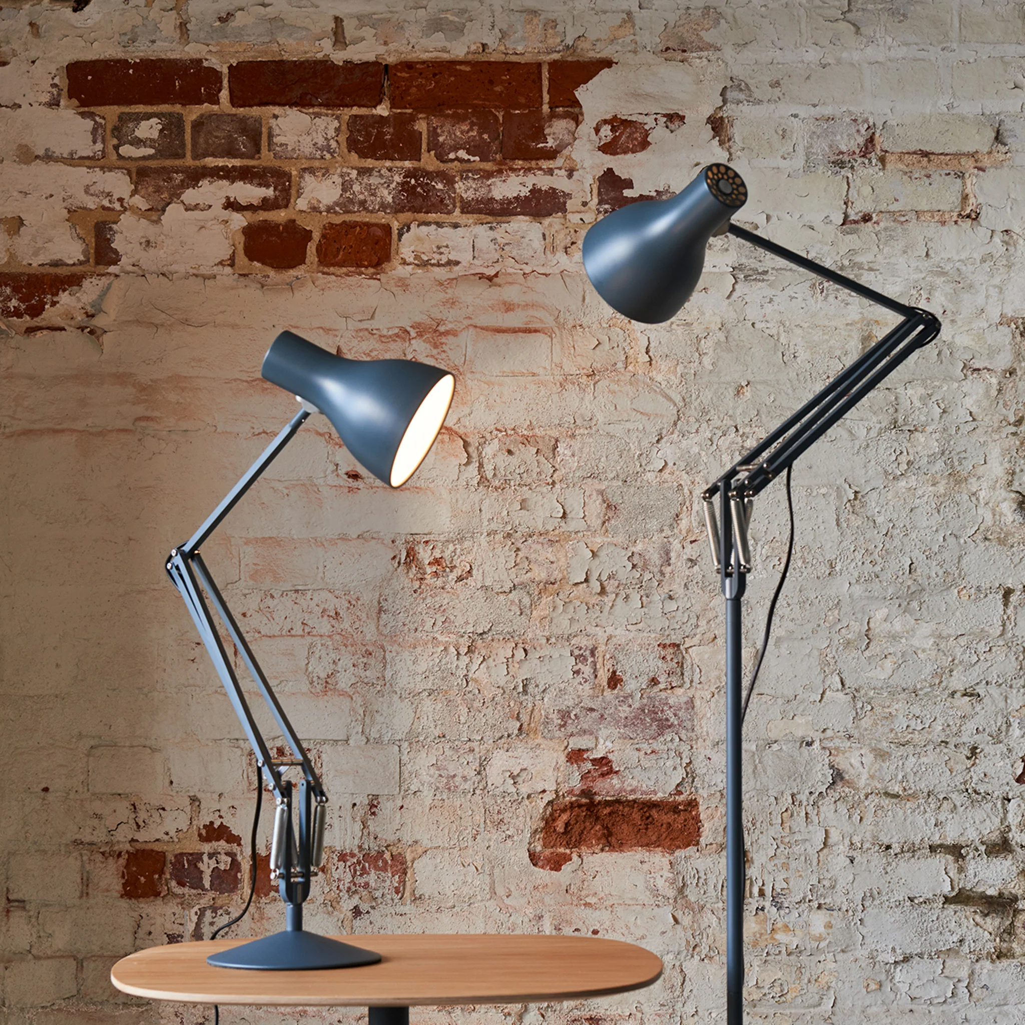 Type 75™ Floor Lamp by Anglepoise - Image 6