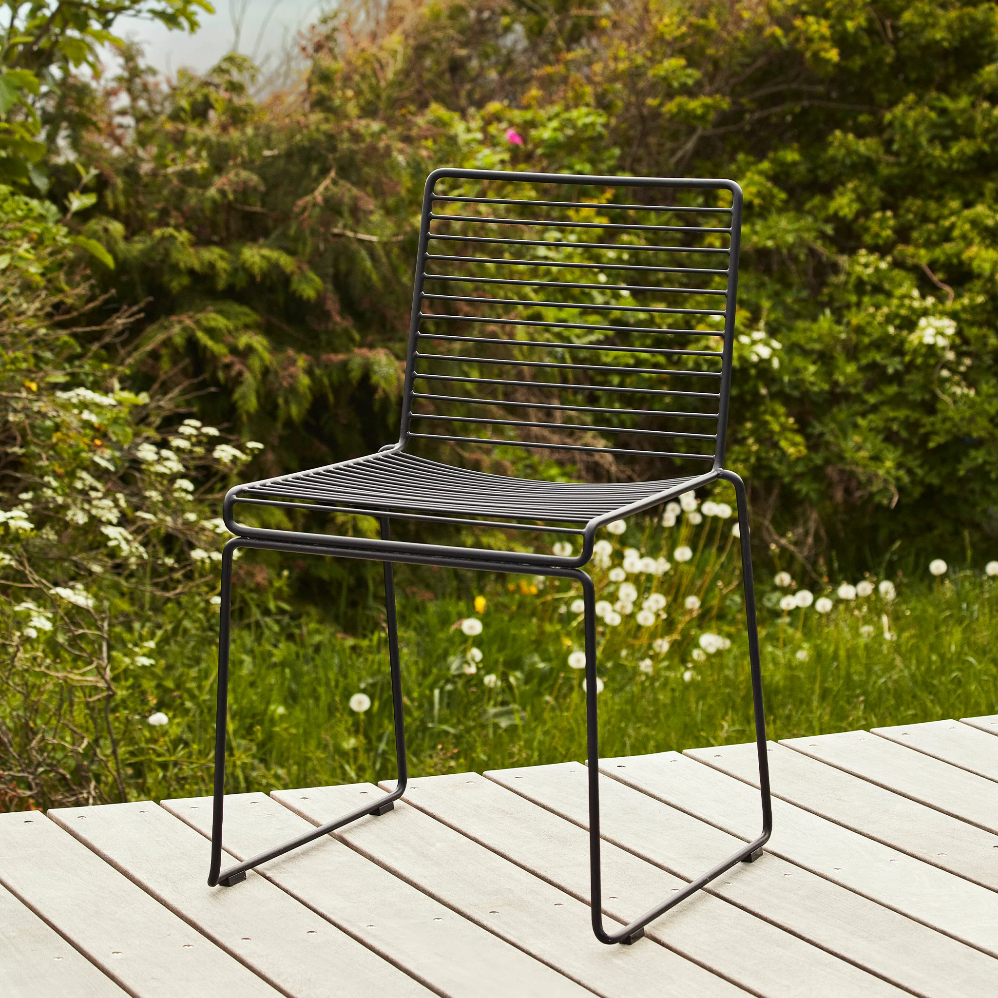 Hay Hee Dining Chair – Black – (Clearance) - Image 2