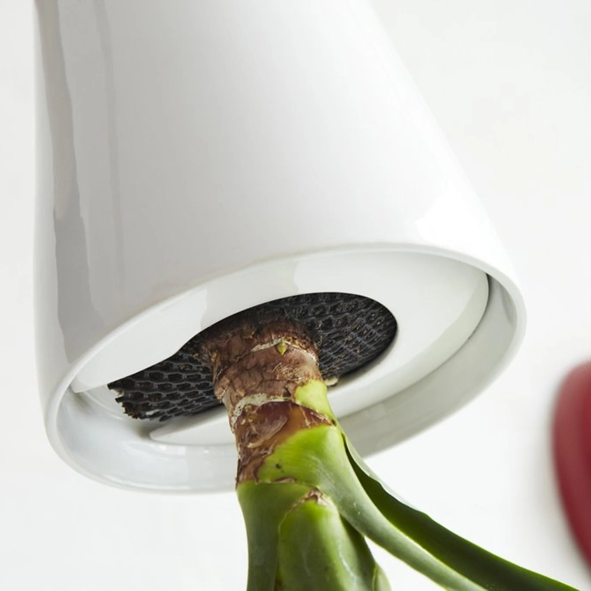 Boskke Sky Planter by Patrick Morris (Clearance) - Image 4