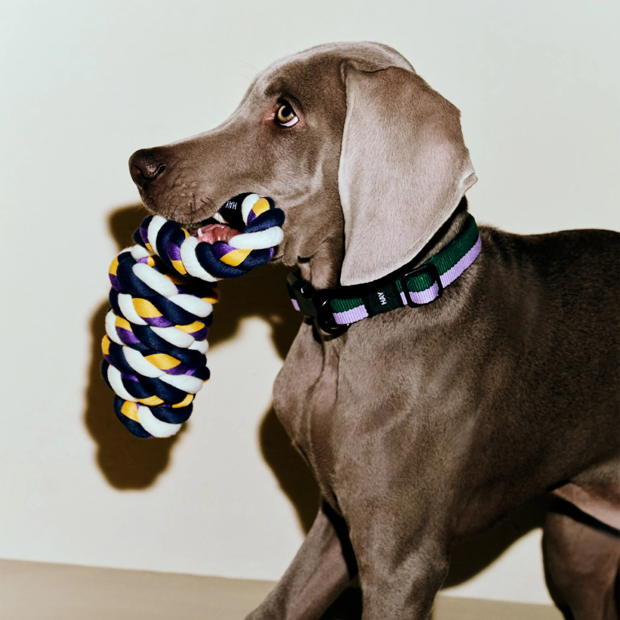 HAY Dogs Rope Toy By Holly Golightly x HAY - Image 3