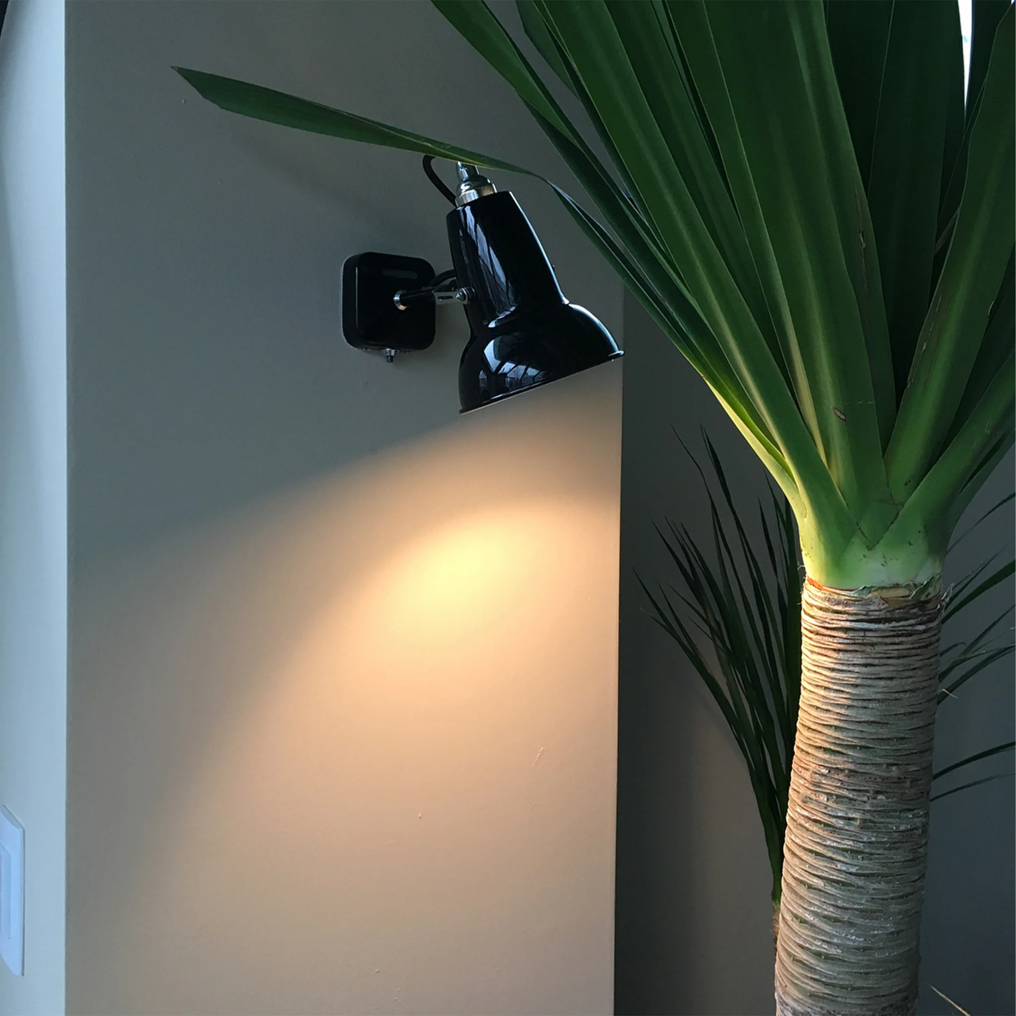 Original 1227™ Mini Wall Light by Anglepoise - Image 6