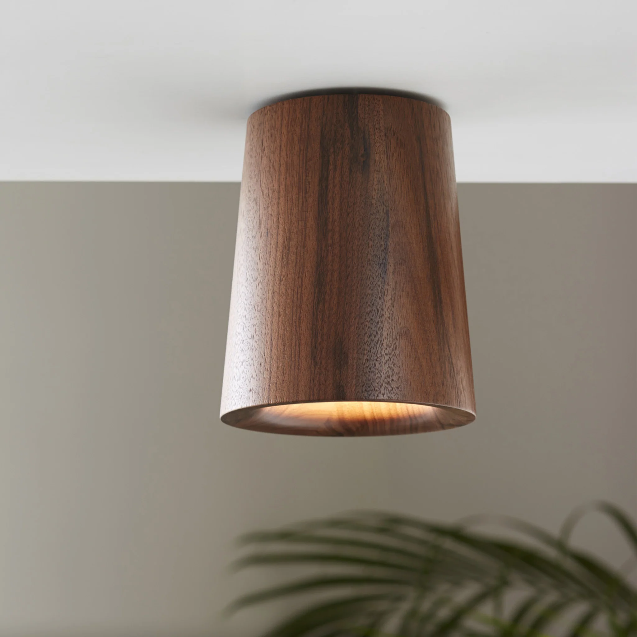 Solid Downlight Cone - Wood by Terence Woodgate - Image 6