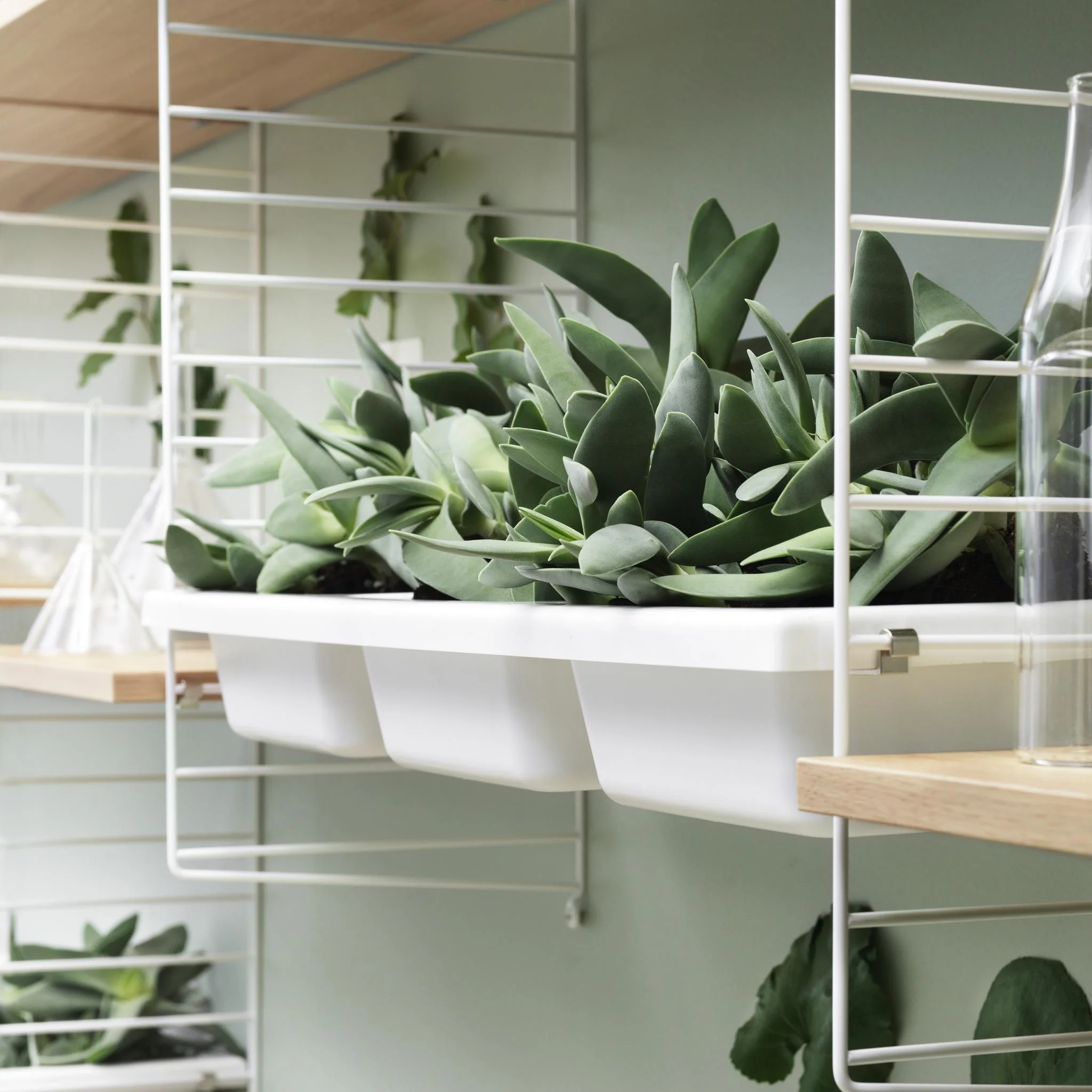 String - Bowl Shelf - Image 4