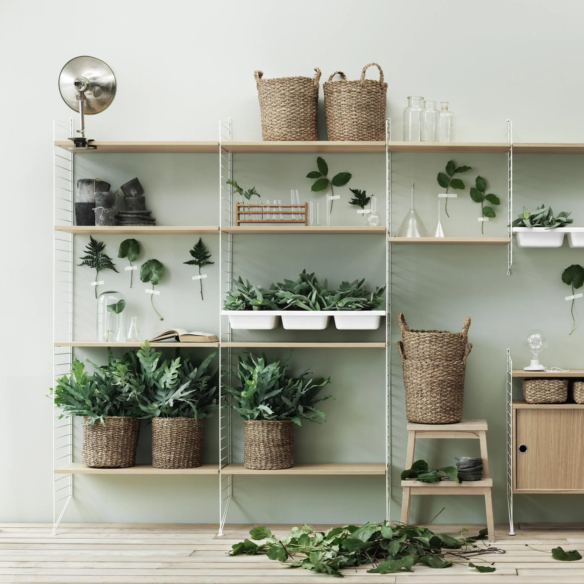 String - Shelves - Image 16