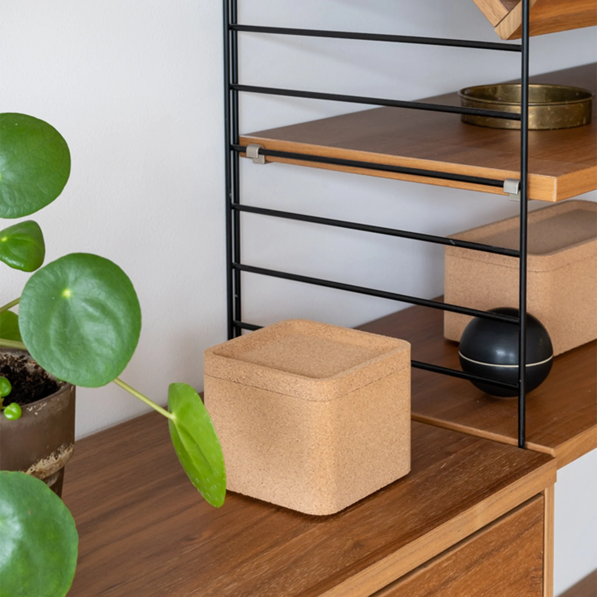 Trove Box by Case - Image 8