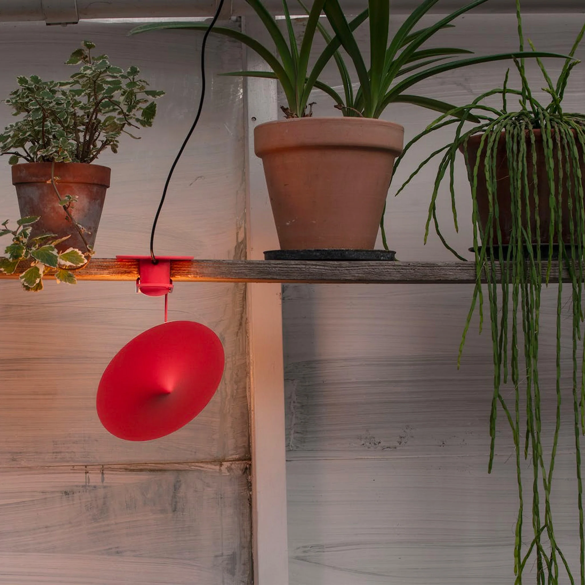 W153 Île Lamp By Wastberg+ - Image 13